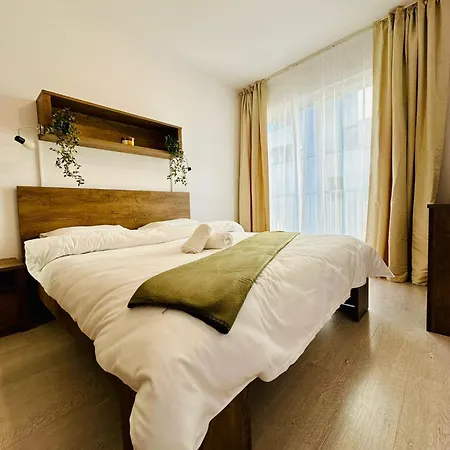 Апартаменты Arya Apartment-free Underground Parking-ultracentral Клуж-Напока