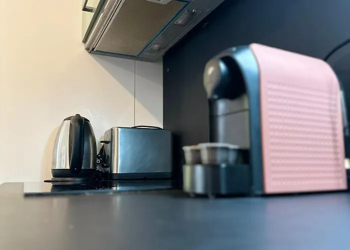 Arya Apartment-free Underground Parking-ultracentral Daire Kaloşvar